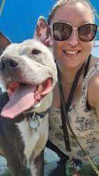 Lost Male Dog last seen Near E Alameda Ave, Aurora, CO 80012, Aurora, CO 80012