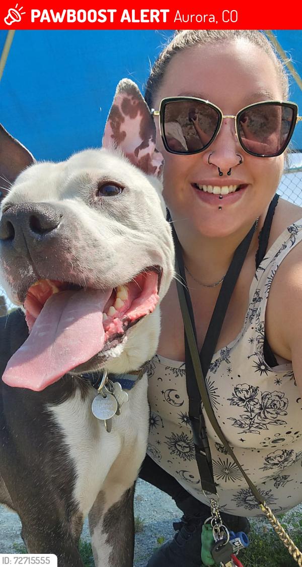 Lost Male Dog last seen Near E Alameda Ave, Aurora, CO 80012, Aurora, CO 80012