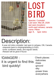 Lost Female Bird last seen Near Harmony Rd North, Harmony Rd North, eastern oshawa,, Oshawa, ON L1K 1S2