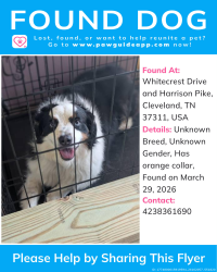 Found/Stray Unknown Dog last seen Whitecrest Drive and Harrison Pike, Bradley County, TN 37311