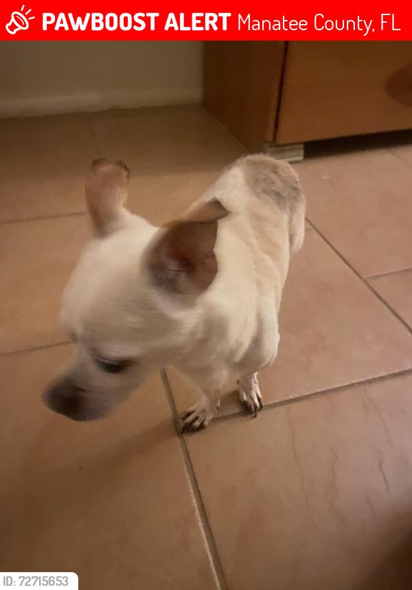 Lost Male Dog last seen Florida Boulevard in Washington Place, Manatee County, FL 34207