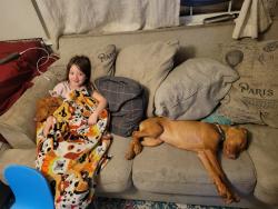 Lost Male Dog last seen Pioneer , Mesquite, TX 75149