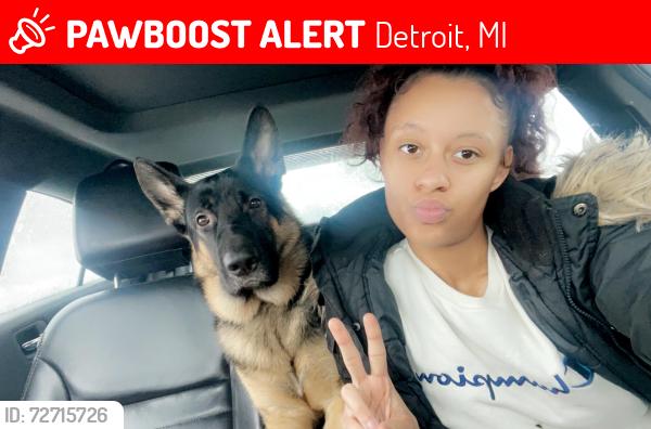 Lost Male Dog last seen Joy and evergreen , Detroit, MI 48228