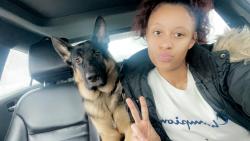 Lost Male Dog last seen Joy and evergreen , Detroit, MI 48228