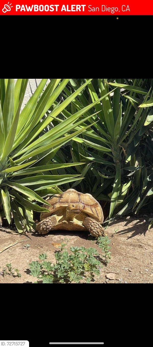 Lost Male Other last seen Imperial Ave/St  Rita church, San Diego, CA 92114