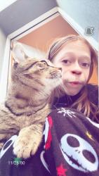 Lost Male Cat last seen Allegheny Ave Campbell square park, Philadelphia, PA 19134