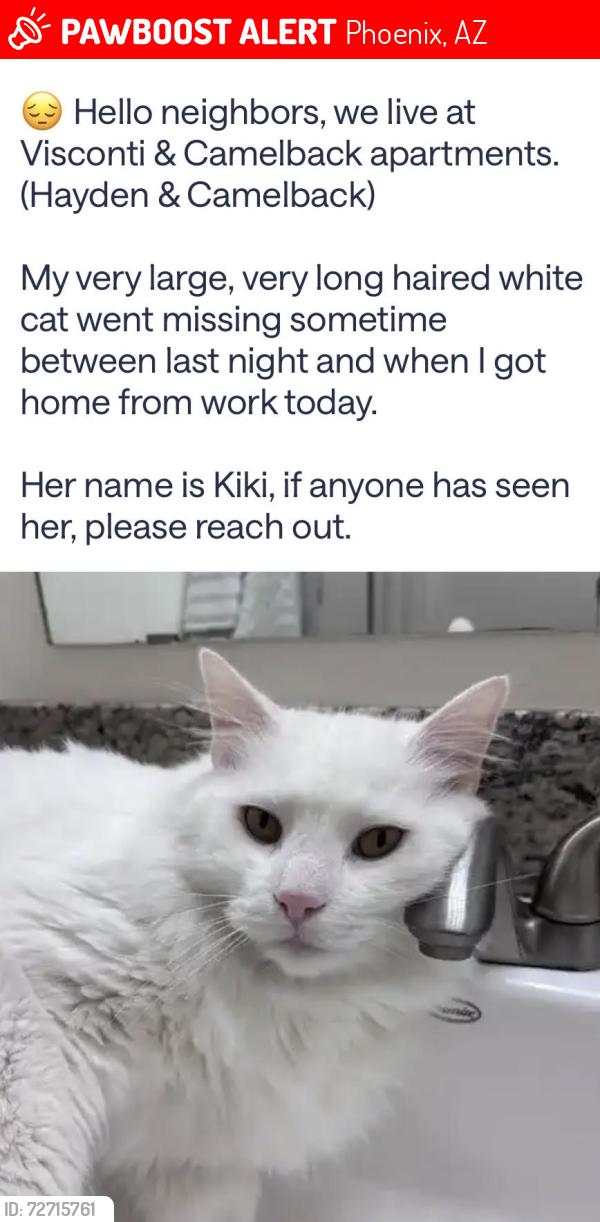 Lost Female Cat last seen Near E Camelback Rd, Scottsdale AZ, Phoenix, AZ 85018