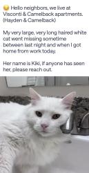 Lost Female Cat last seen Near E Camelback Rd, Scottsdale AZ, Phoenix, AZ 85018