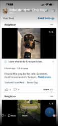 Lost Female Dog last seen Lake Como park, Fort Worth, TX 76107