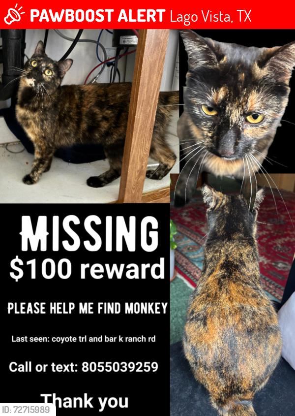 Lost Female Cat last seen The corner of coyote trail and Bar k ranch road, Lago Vista, TX 78645
