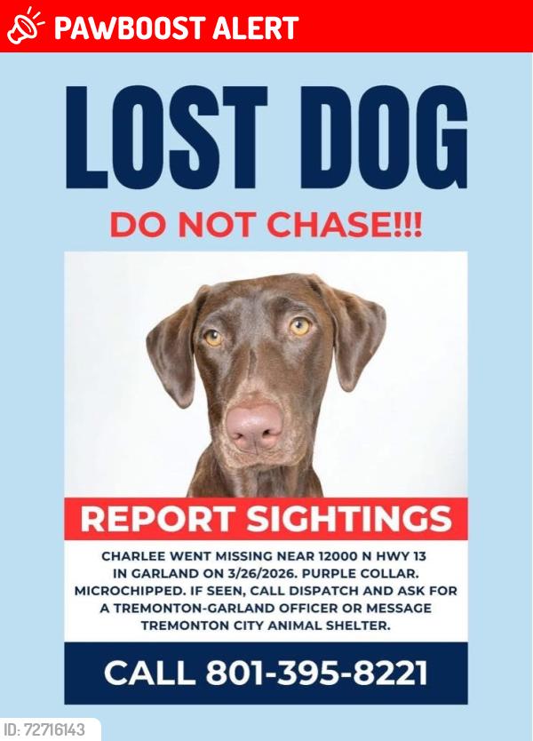 Lost Female Dog last seen Near N highway 13, garland, Utah , Box Elder County, UT 84312