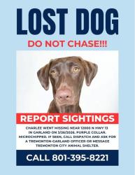 Lost Female Dog last seen Near N highway 13, garland, Utah , Box Elder County, UT 84312