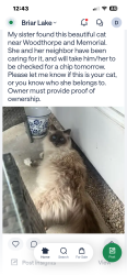 Found/Stray Unknown Cat last seen Woodthorpe & Memorial , Houston, TX 77079