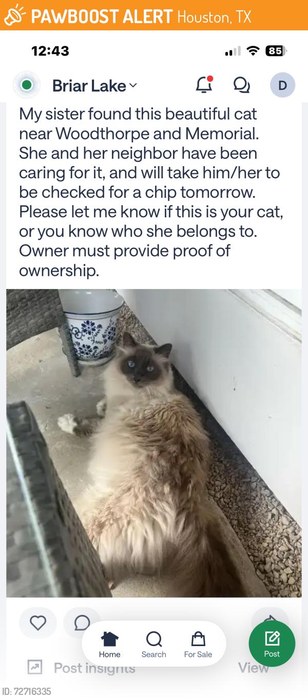 Found/Stray Unknown Cat last seen Woodthorpe & Memorial , Houston, TX 77079