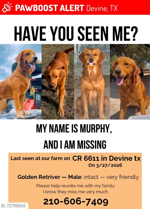 Lost Male Dog last seen Near 6611 and 676, Devine, TX 78016