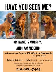 Lost Male Dog last seen Near 6611 and 676, Devine, TX 78016