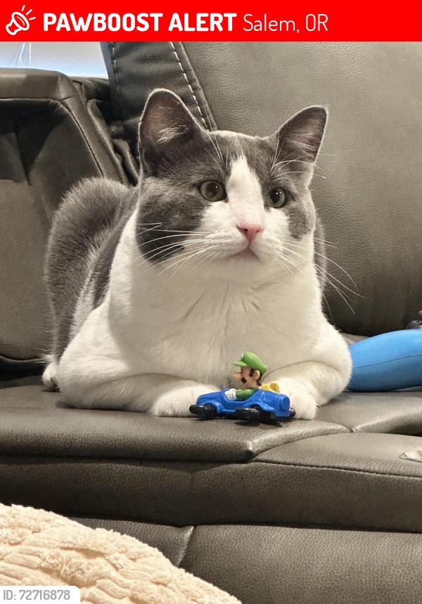 Lost Male Cat last seen Countryside and Lunar to our  West and East. Closest major road is Kale st NE, Salem, OR 97305