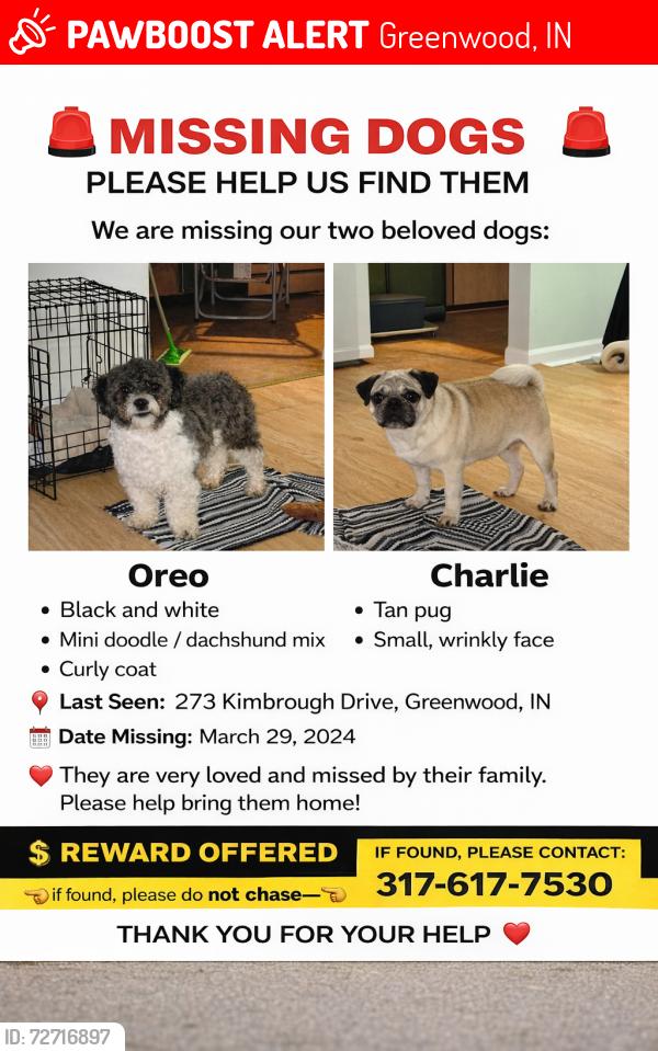 Lost Male Dog last seen Kimbrough Dr greenwood IN 46143, Greenwood, IN 46142