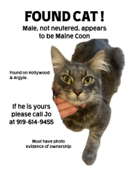Found/Stray Male Cat last seen Argyle ave , Los Angeles, CA 90028