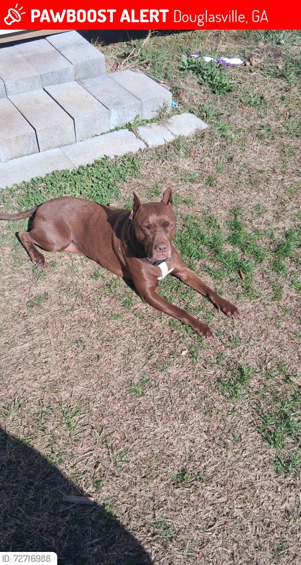Lost Male Dog last seen Reid rdm, Douglasville, GA 30135