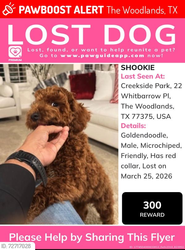 Lost Male Dog last seen Tomball, The Woodlands, TX 77375
