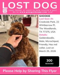 Lost Male Dog last seen Tomball, The Woodlands, TX 77375