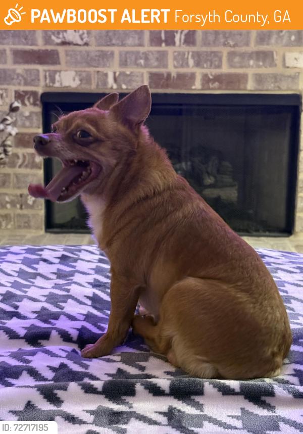 Found/Stray Male Dog last seen Drew Rd and Bethleview Rd, Forsyth County, GA 30040