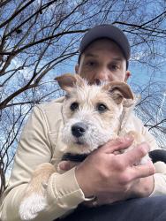 Lost Male Dog last seen Near Newton St NW, Washington, DC 20010
