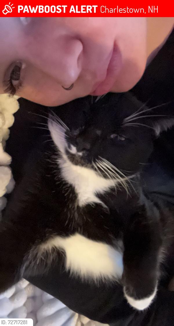 Lost Male Cat last seen charlestown nh, Charlestown, NH 03603