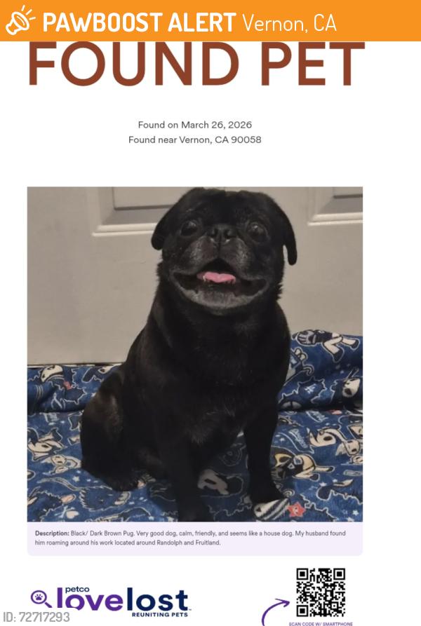 Found/Stray Male Dog last seen Fruitland, and randolph, Vernon, CA 90058