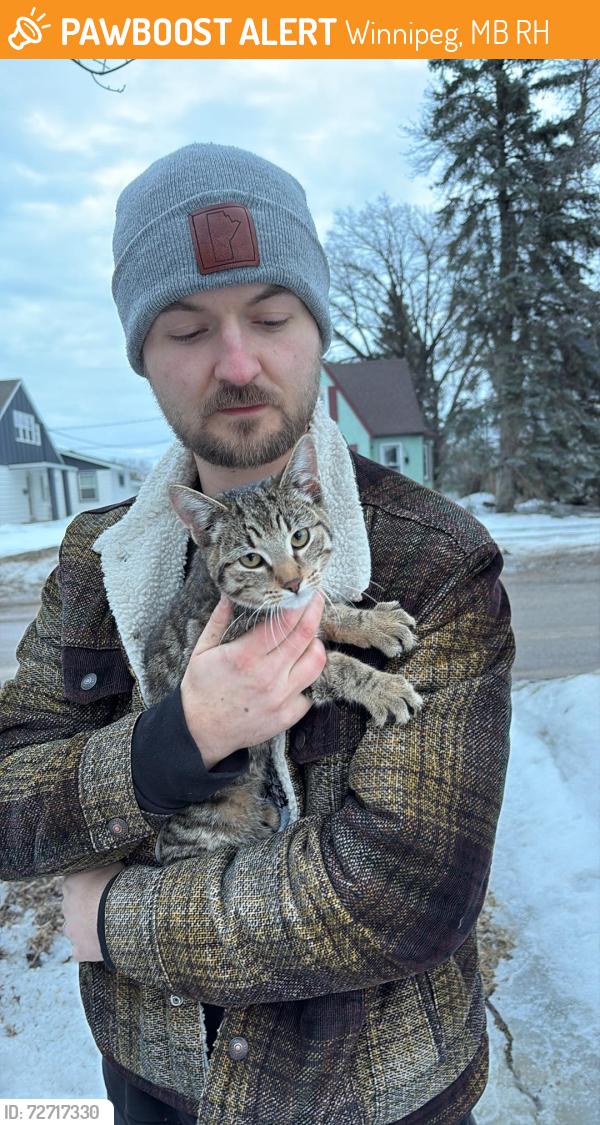 Found/Stray Unknown Cat last seen Monk st, Winnipeg, MB R2H