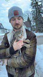 Found/Stray Unknown Cat last seen Monk st, Winnipeg, MB R2H