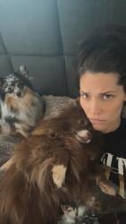 Lost Female Dog last seen 38th and Sara park , Mustang, OK 73064
