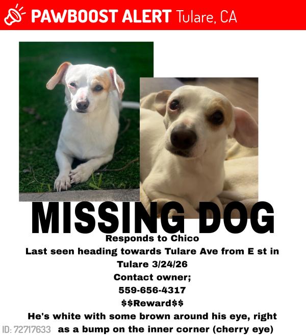 Lost Male Dog last seen Tulare and west , Tulare, CA 93274