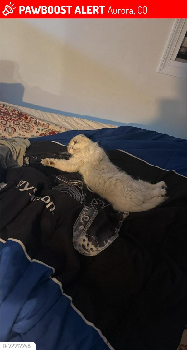 Lost Male Cat last seen E smoky hill Rd & s telluride st, Aurora, CO 80015