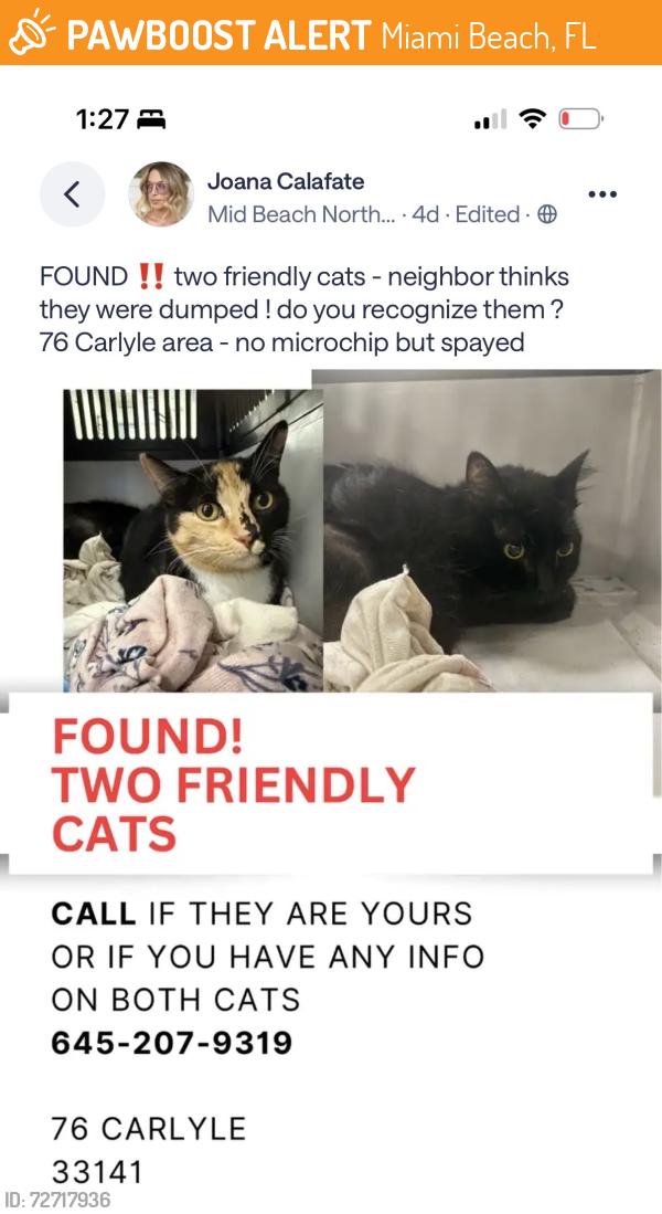 Found/Stray Female Cat last seen Near and Carlyle, Miami Beach, FL 33141