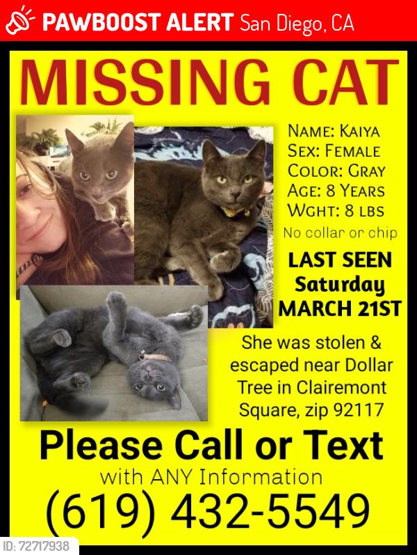Lost Female Cat last seen Dollar Tree on Clairemont Mesa Boulevard in Clairemont Square, zip 92117, San Diego, CA 92117