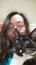 Lost Male Cat last seen Horizon crest, Bellevue, WA 98015