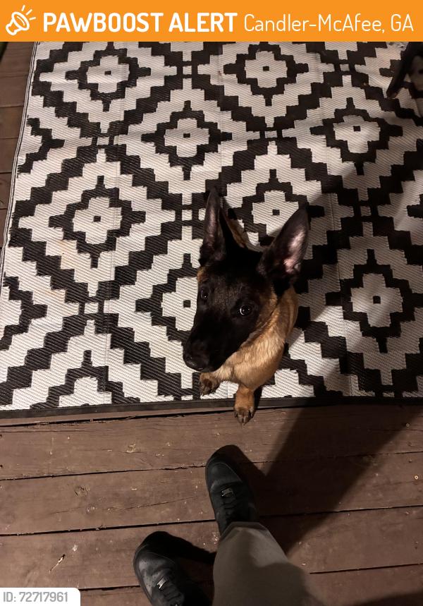 Found/Stray Male Dog last seen Circle K, Candler-McAfee, GA 30032