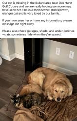 Lost Female Cat last seen Golf course arra im bullard, Bullard, TX 75757