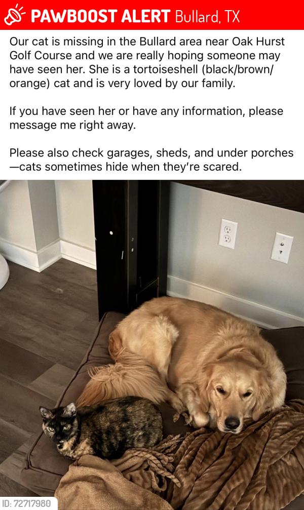 Lost Female Cat last seen Golf course arra im bullard, Bullard, TX 75757