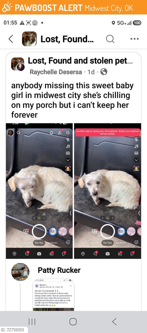 Found/Stray Unknown Dog last seen E Kittyhawk Dr and E Richenbacher Dr in Midwest City., Midwest City, OK 73110