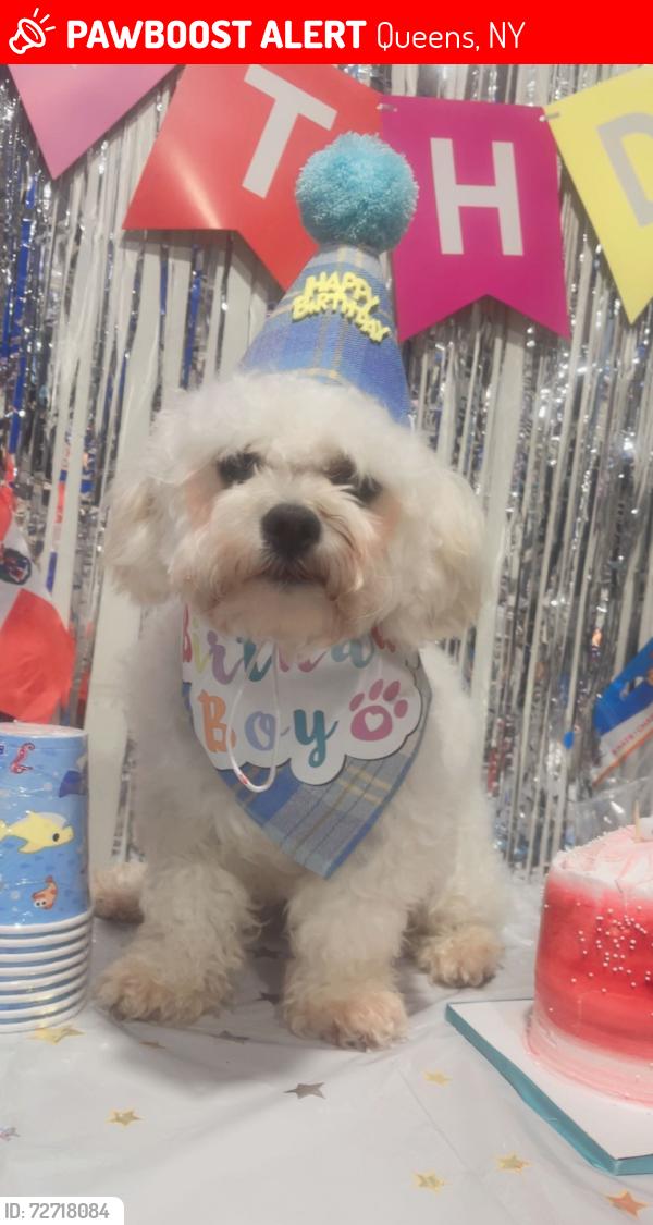 Lost Male Dog last seen Near 53 avenida , Queens, NY 11368