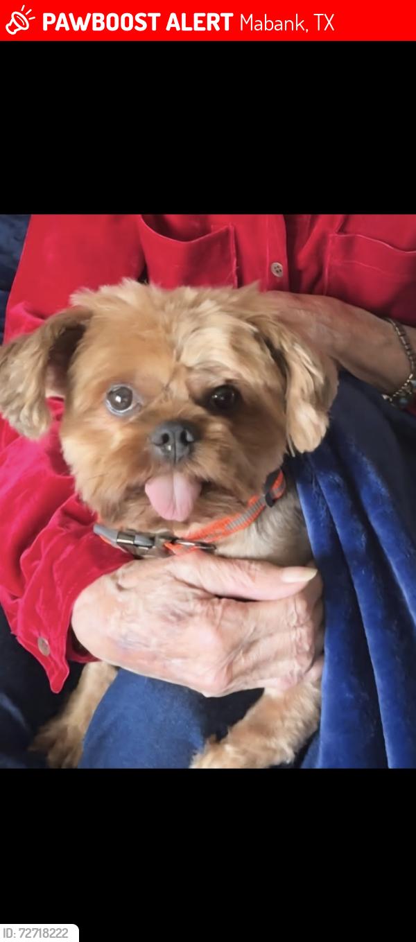 Lost Male Dog last seen State highway 198, Mabank, TX 75147