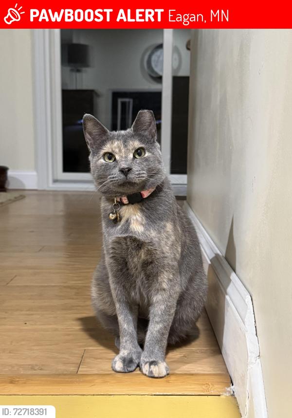 Lost Female Cat last seen Running in backyard next to Fitz Lake, Eagan, MN 55123