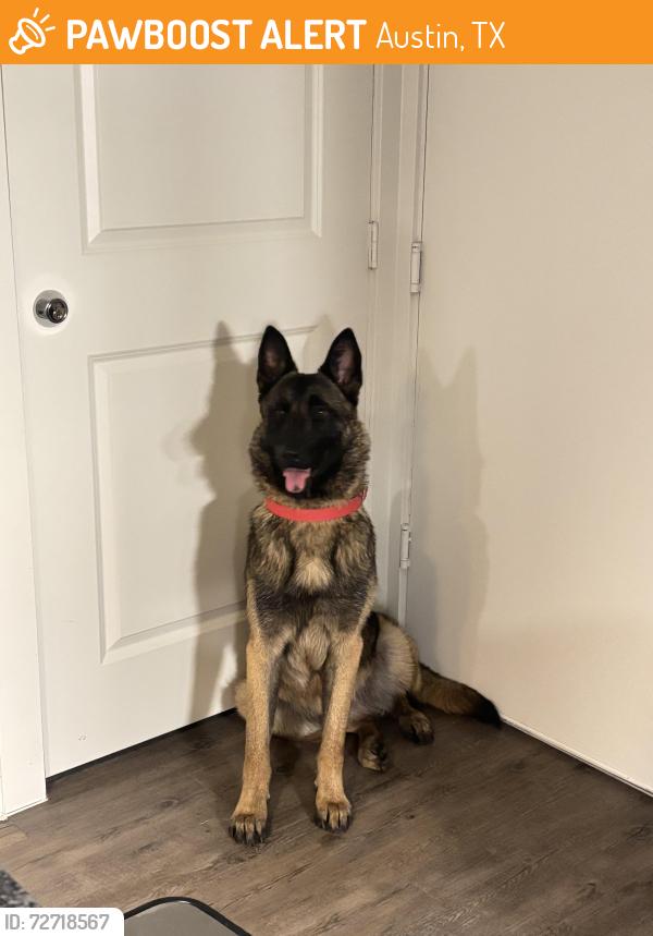 Found/Stray Male Dog last seen KFC Lamar and Koenig , Austin, TX 78751