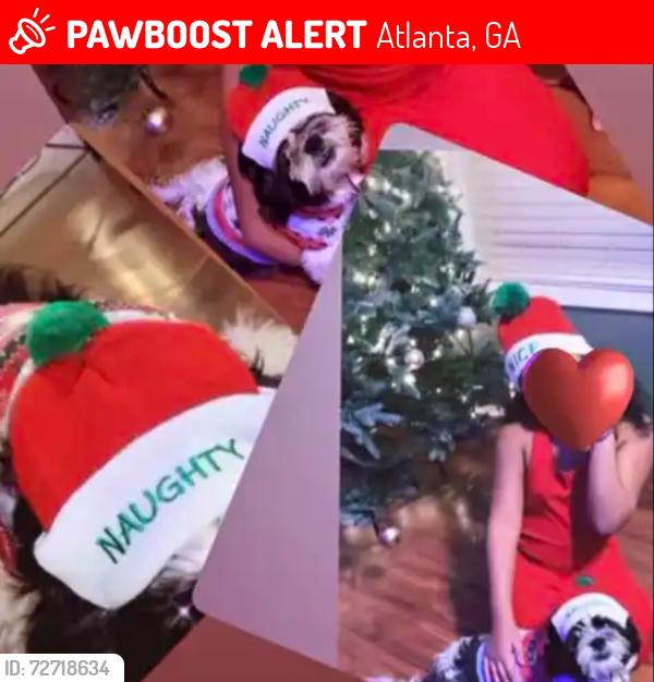 Lost Male Dog last seen Princeton lakes way , Atlanta, GA 30331