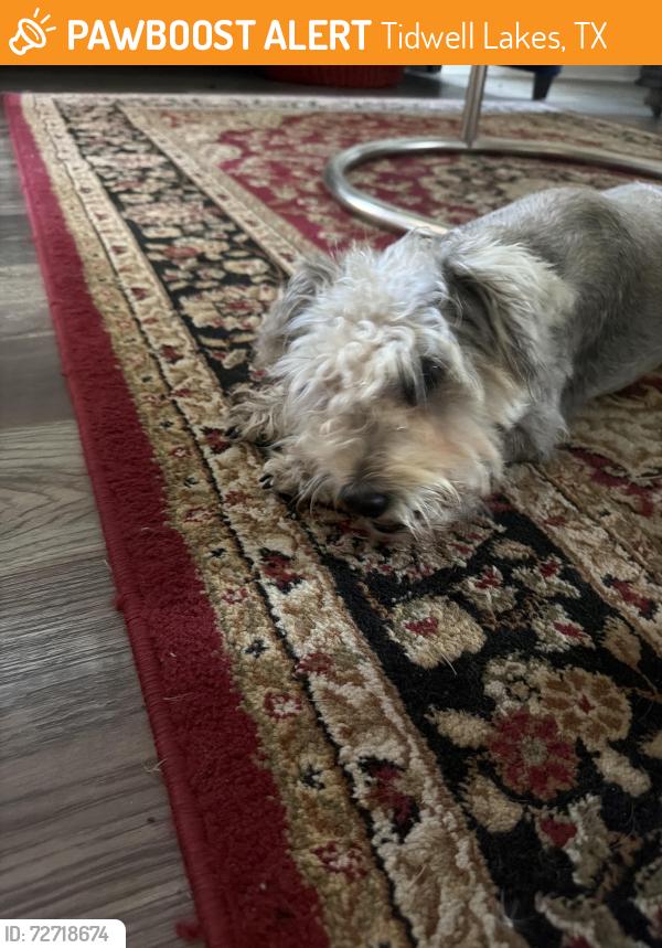 Found/Stray Female Dog last seen Tidwell Lakes Community, Tidwell Lakes, TX 77044