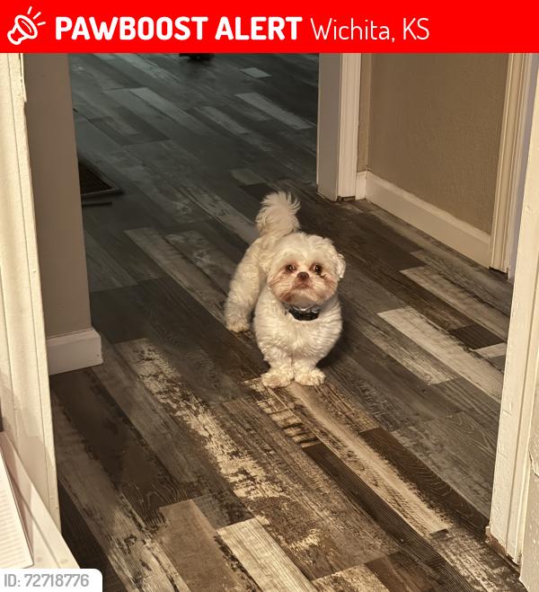 Lost Male Dog last seen Near S George Washington Blvd, Wichita, KS  67210, Wichita, KS 67210