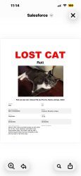 Lost Male Cat last seen Stewart doraville ga , Doraville, GA 30340